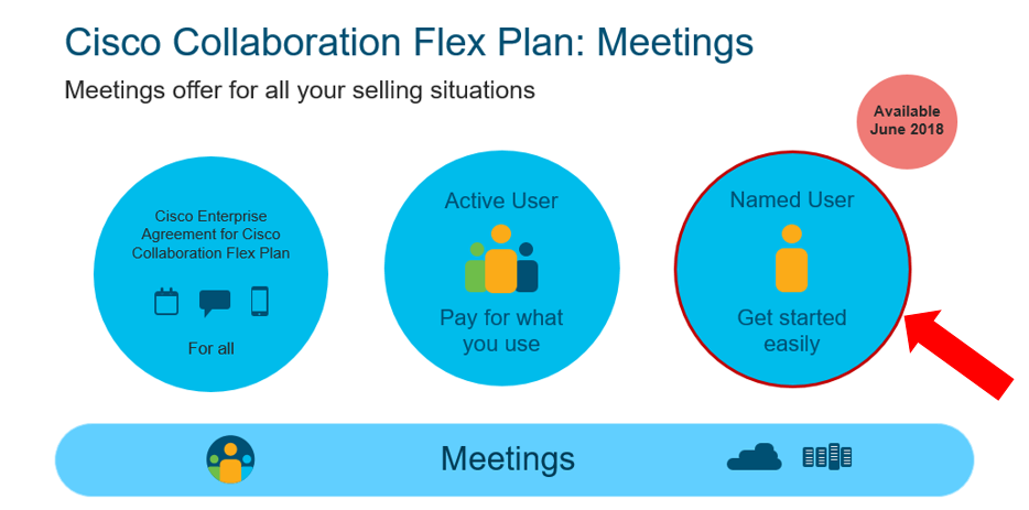 flex plan named user meeting.PNG